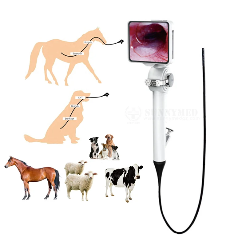 SY-P029-3 Veterinary Endoscope ent Gastroscope and colonoscope portable small animal flexible endoscope