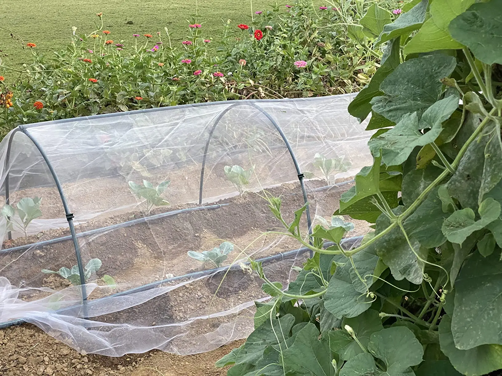 Vegetable planting greenhouse bracket vegetable mini greenhouse set vegetable protection rack