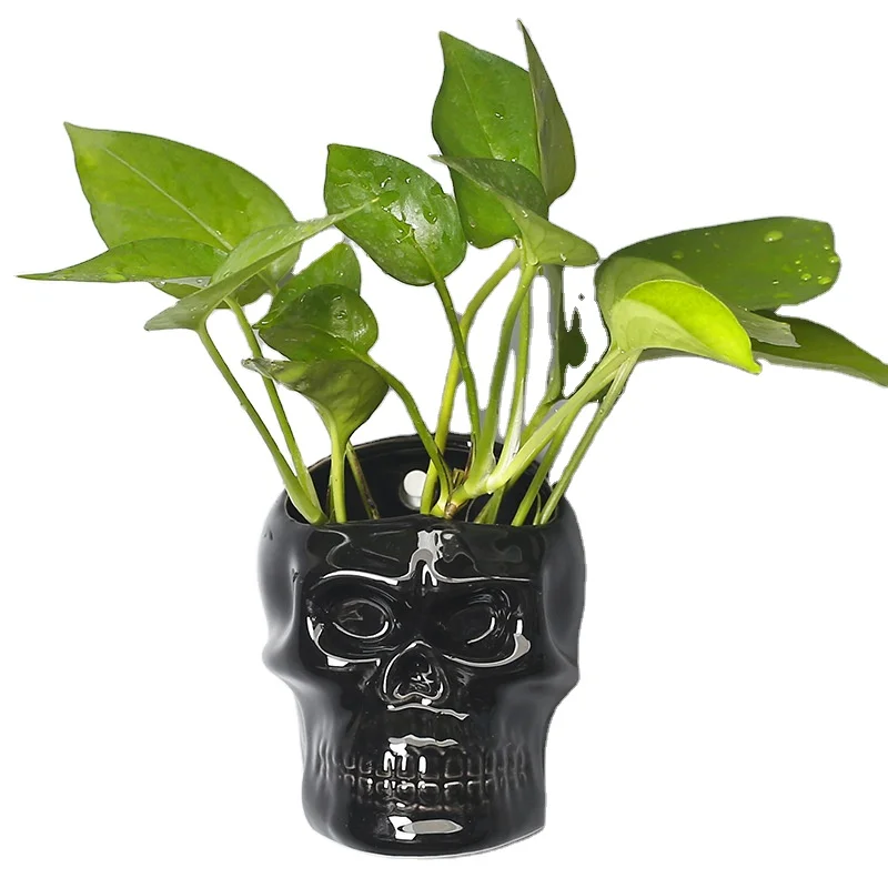 low moq products product ceramic skull flower pot skull planter pot  custom designed flower pots stand for home