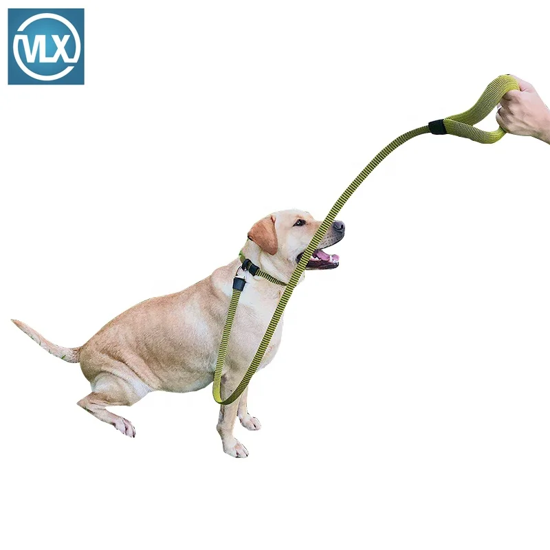 Lightweight Size-adjustable  Dog collar and leash dog harness leash HOT SELLER in USA