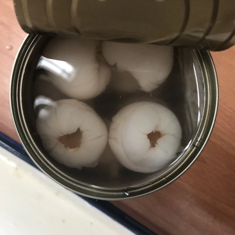 
wholesale cheap canned lychee in syrup 425g/567g 