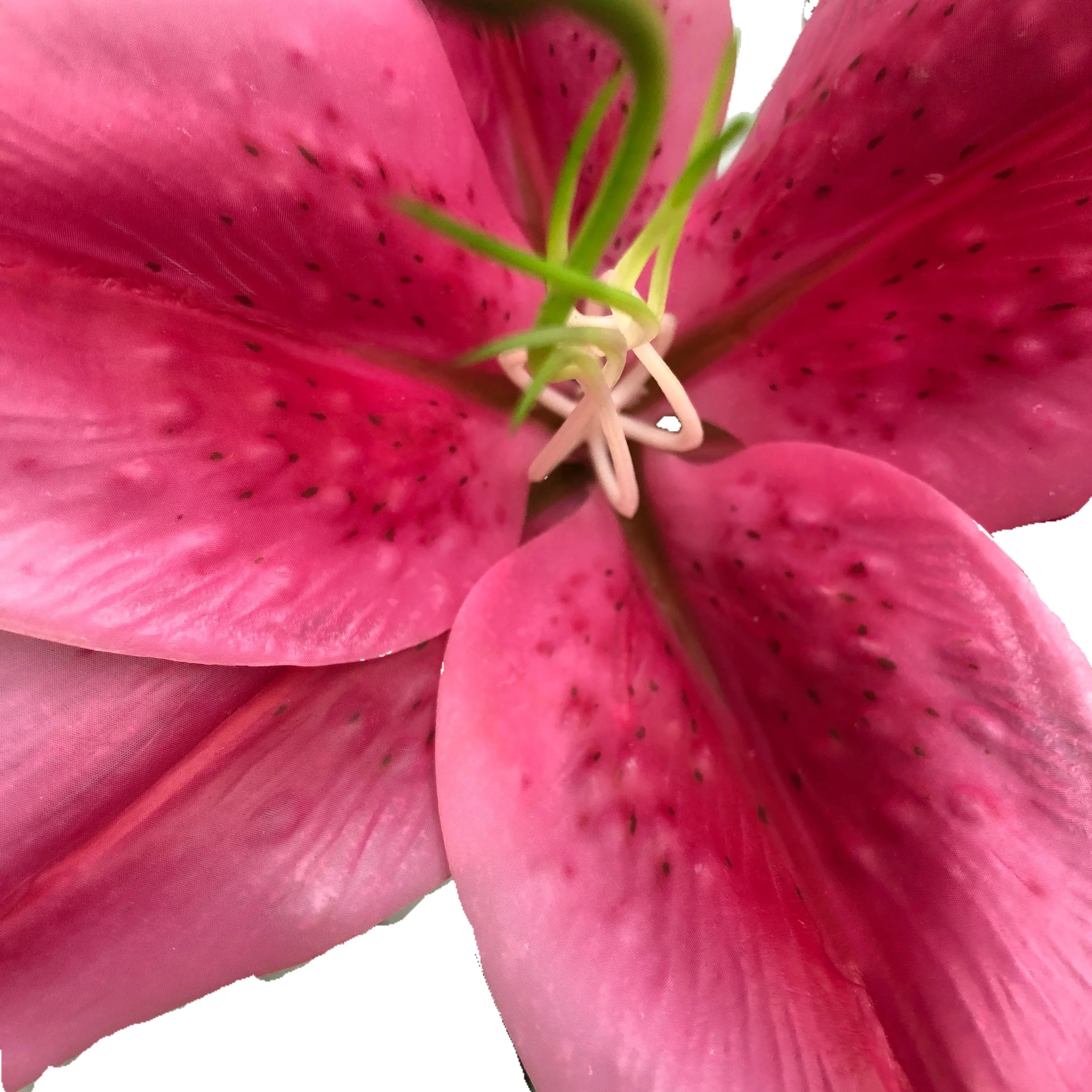 Real Touch Latax Flores Artificiales, Handmade Flores Artificial, Customized Colors Flores Artificiais