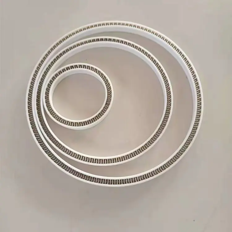 Hot Sale Variseal PTFE Spring Booster Oil Double Lip Seal
