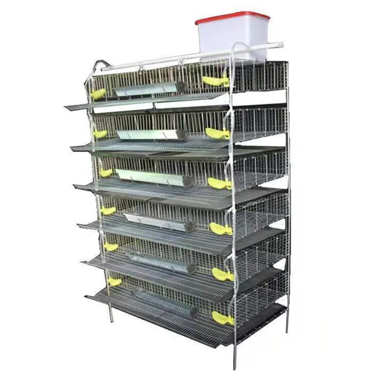 Automatic feeder system 6 layers H type quail layers cage for eggs