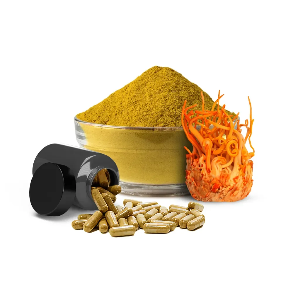 Herbal Cordyceps Extract Capsule OEM Nootropics Brain Supplement Lions Mane Supplement Mushroom Capsules for Memory