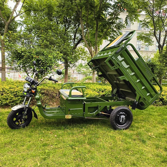 three wheels adult cargo electric tricycle bike 1000w eec 60v20ah lead-acid/lithium battery 3 wheel electric cargo bike