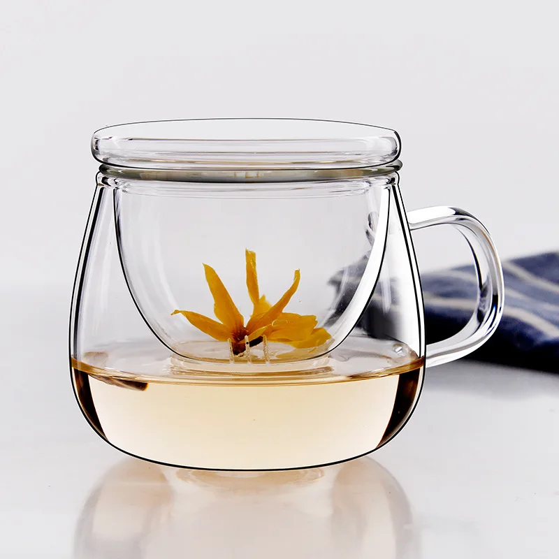 Personal Glass Tea Cup with Infuser and Lid for Tea Making Includes Coffee & Tea Set