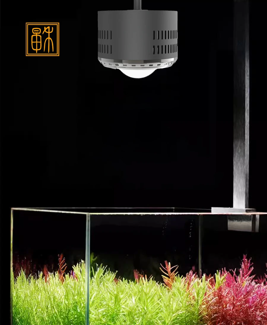 Zaohetian Timing dimming free switch high power goldfish downlight DC24V low voltage Exploding algae downlight led aquarium lamp