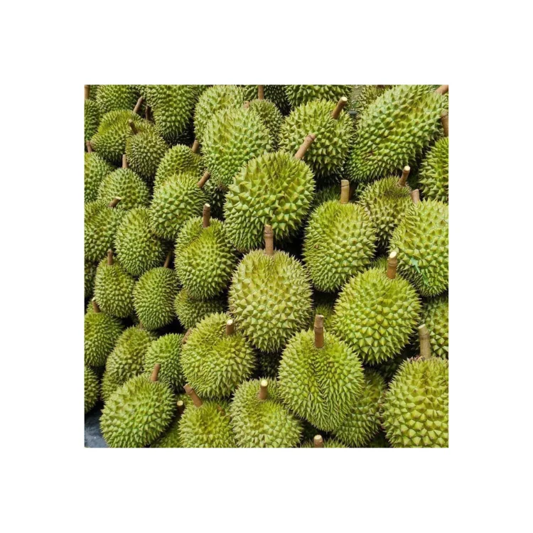 The Best Fresh Durian Ri6 Eat Directly Sweet And Fatty Taste Organic Packed In Box From Vietnam Manufacturer
