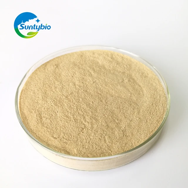 
Inactive Brewers Yeast (Saccharomyces Cerevisiae) With High Protein 