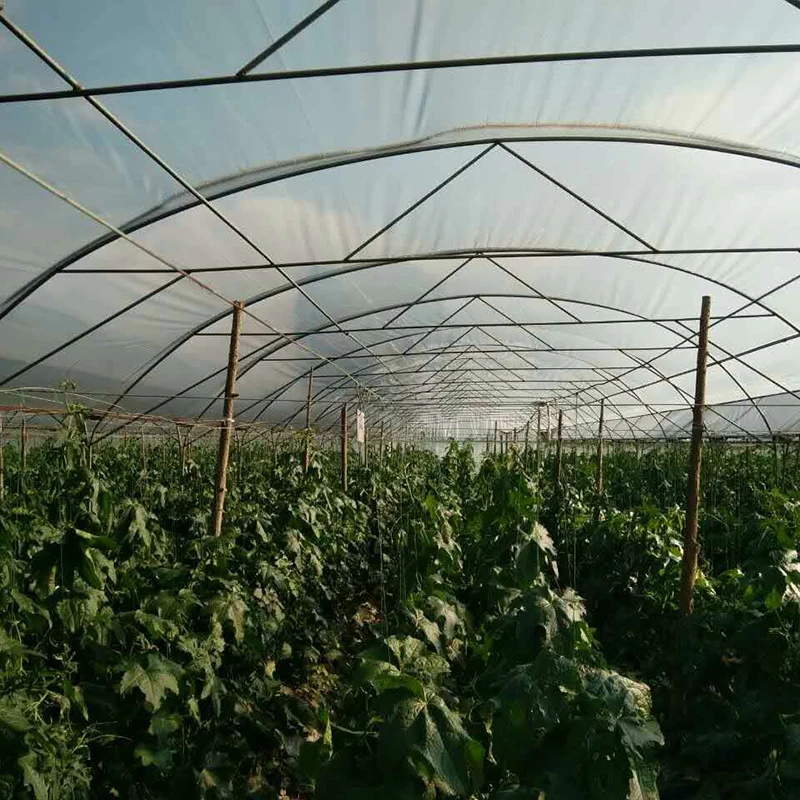 Manufacturer Wholesale Customized Logo Agricultural Greenhouses Garden Greenhouses