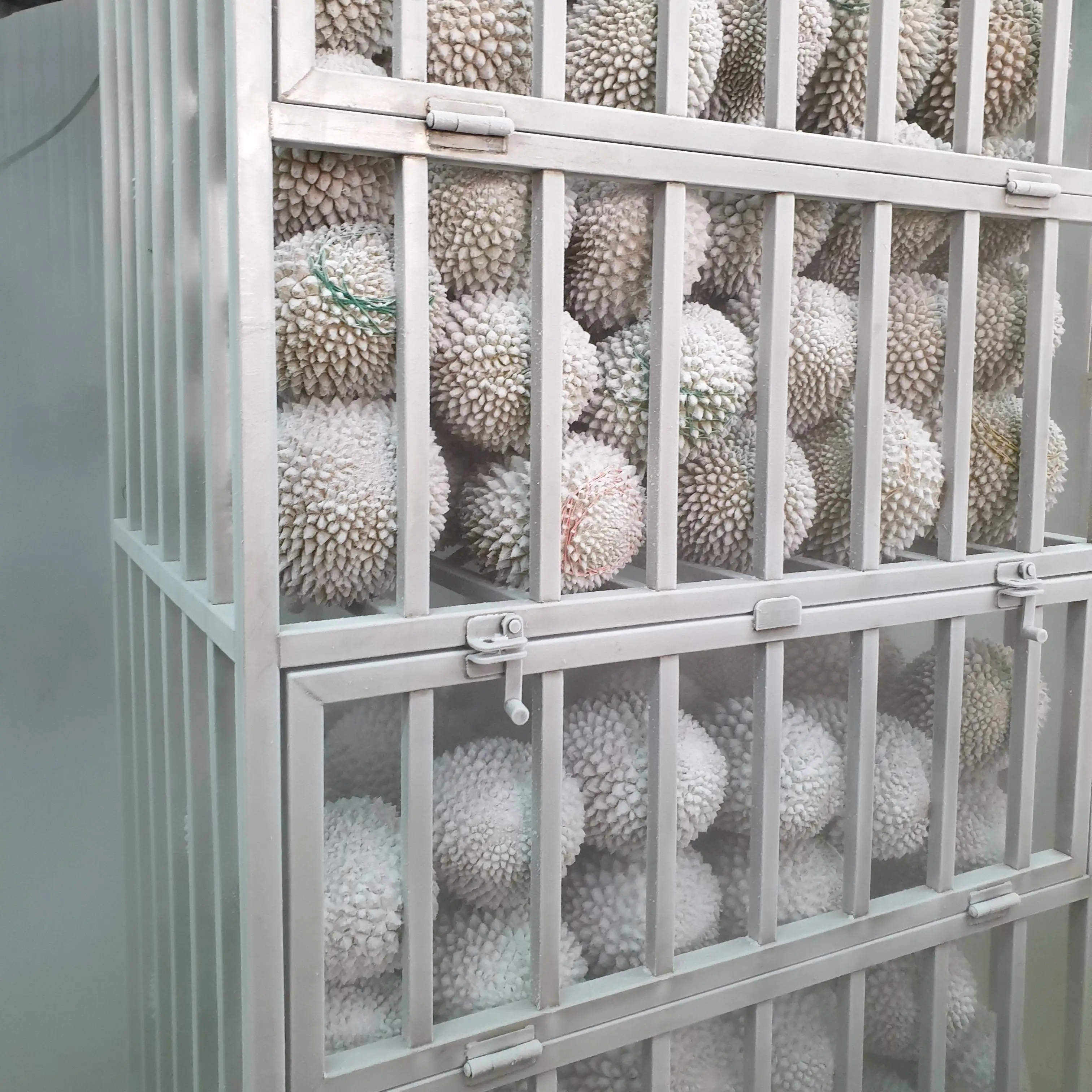 Premium High Quality Lower Price 18 Months Shelf Life Nitrogen Frozen D24 Sultan King Durian Whole Fruit Sweet Aromatic Taste