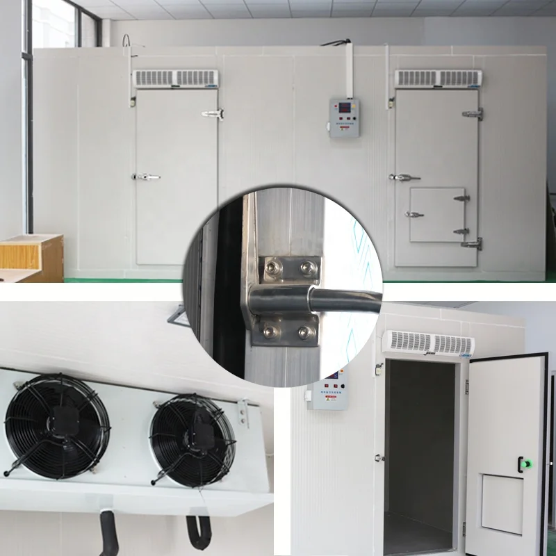 The Best Equipment From Freezer cold room storage Iqf Freezer Machine