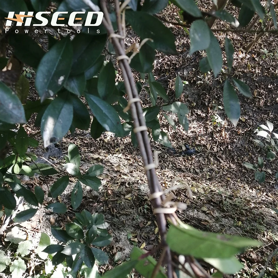 Electric binding machine machine vineyard battery powered apetool