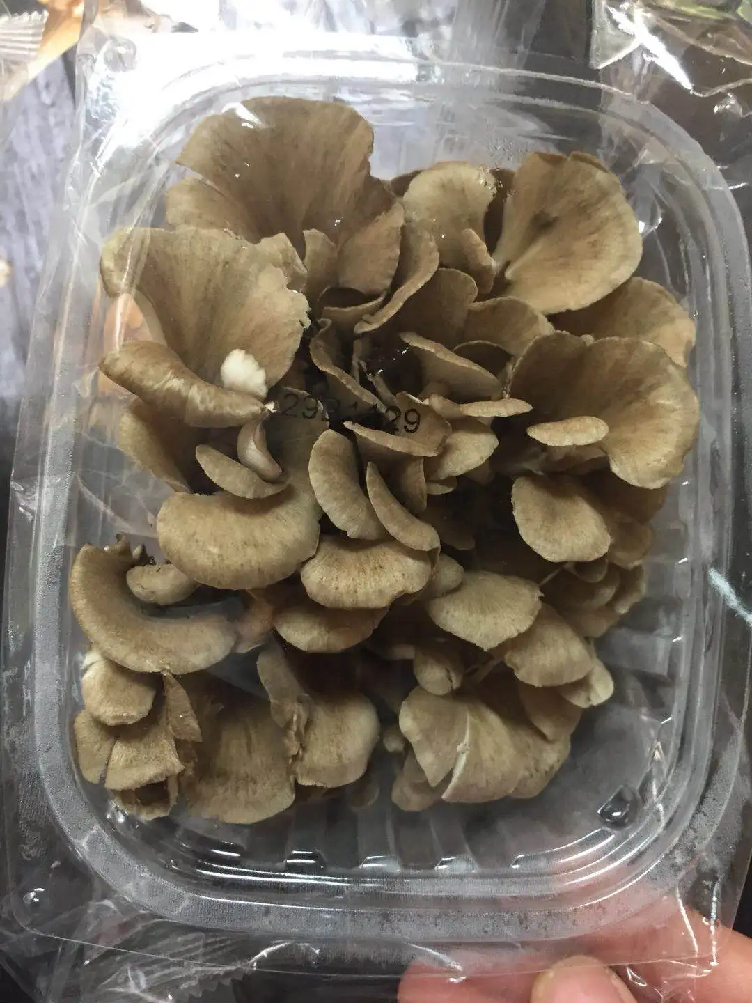 
Detan Fresh Maitake Mushroom 