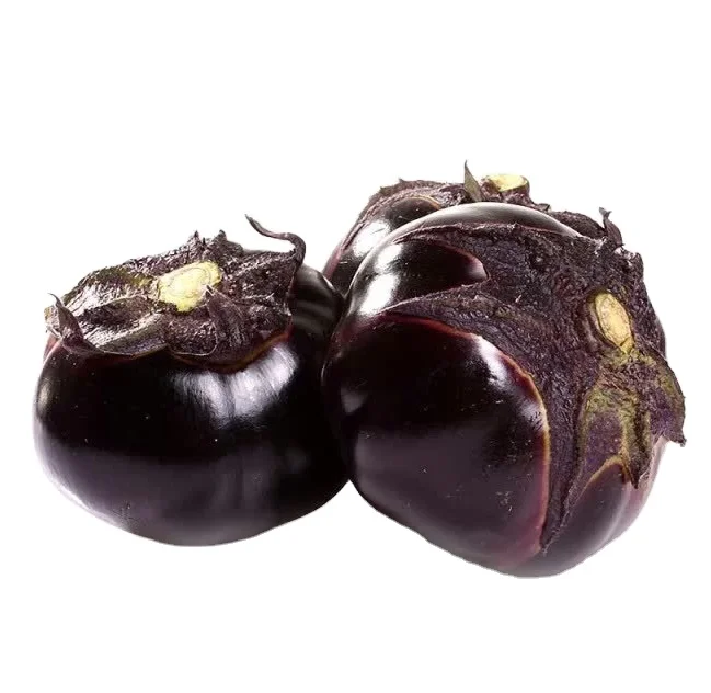 Black purple eggplant Seeds Hybrid cheap price in vegetable seeds