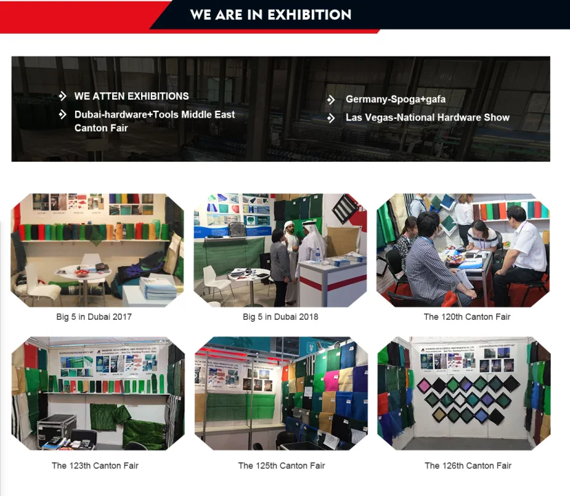 paste-pic-dp_uuid_u9dql