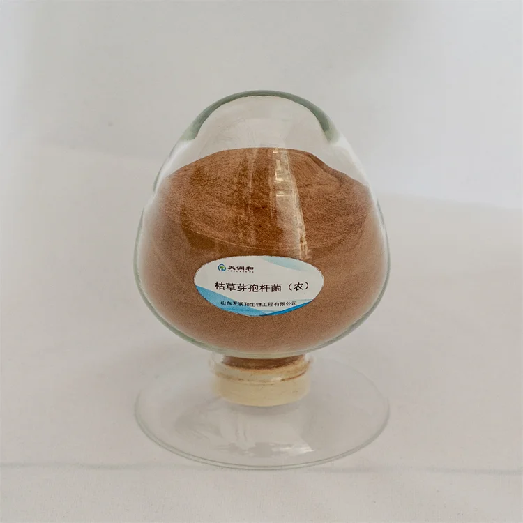 Sell Well Promote Nutrition Biological Bacillus Subtilis Organic Fertilizer