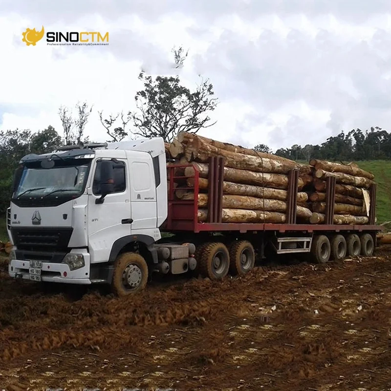 Sinotruk transport wood 8x4 6x6 howo brand log trucks with loaders for sale