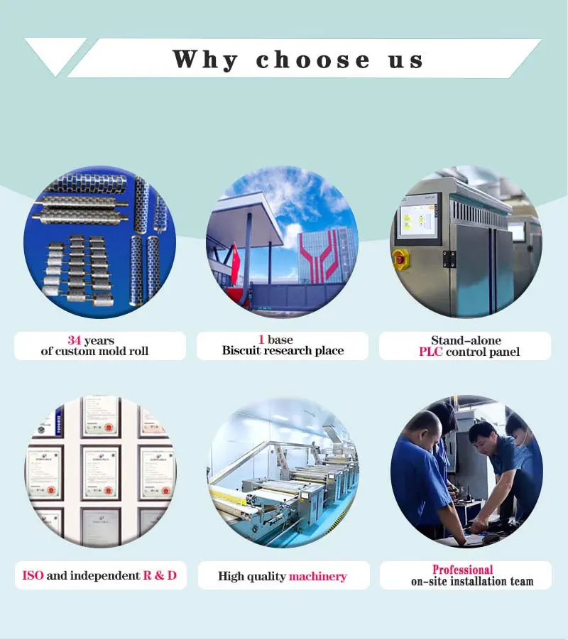 Hot Air Circulation Oven Gas Tunnel Oven For Biscuit Bread Cookie Bakery Production Line