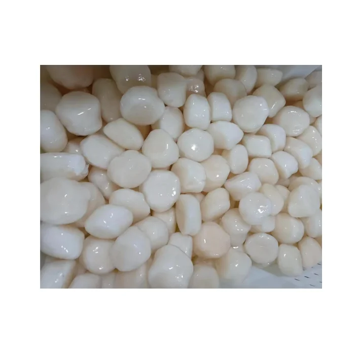 IQF Scallop Meat with Shell Fresh Sea Scallop for Cooking