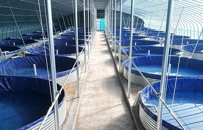 Tilapia Fish Growing Container Tank10000liter Water Tank Fishing Pond Plastic Pond For Fish Farming Tank