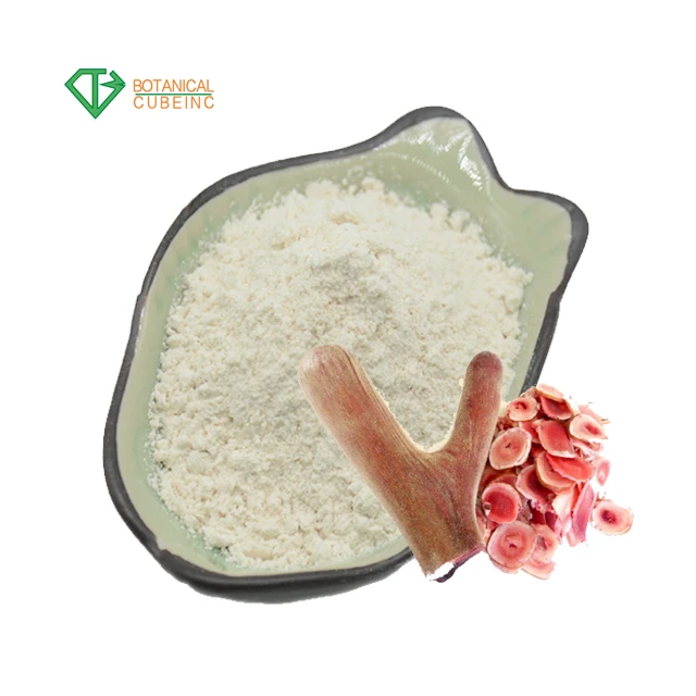 Antler Extract.jpg