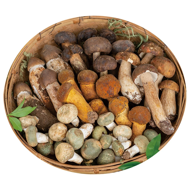 Оптовая продажа натуральных свежих диких