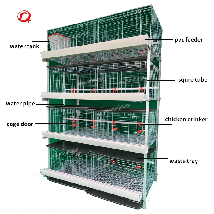 Full automatic broiler chicken coop with poultry equipment for poultry husbandry