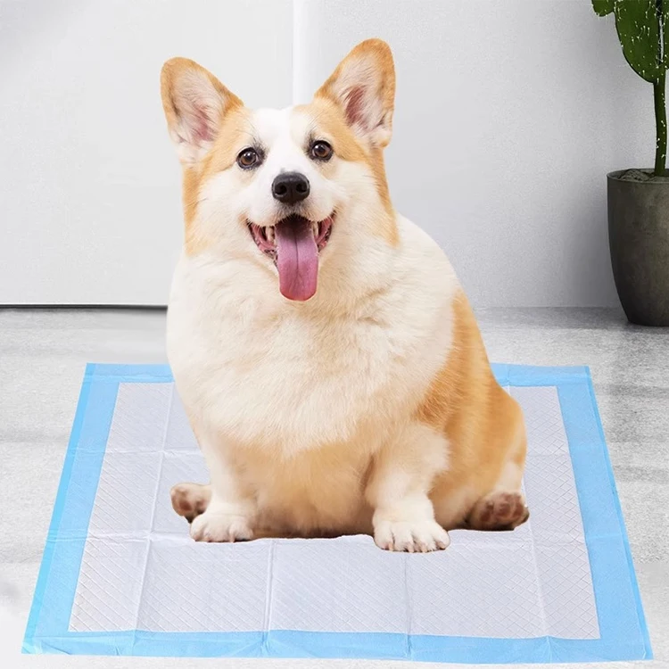 2024 Disposable Dog Pee Pad Cloth Training Puppy Pads for Pet Cleaning & Grooming