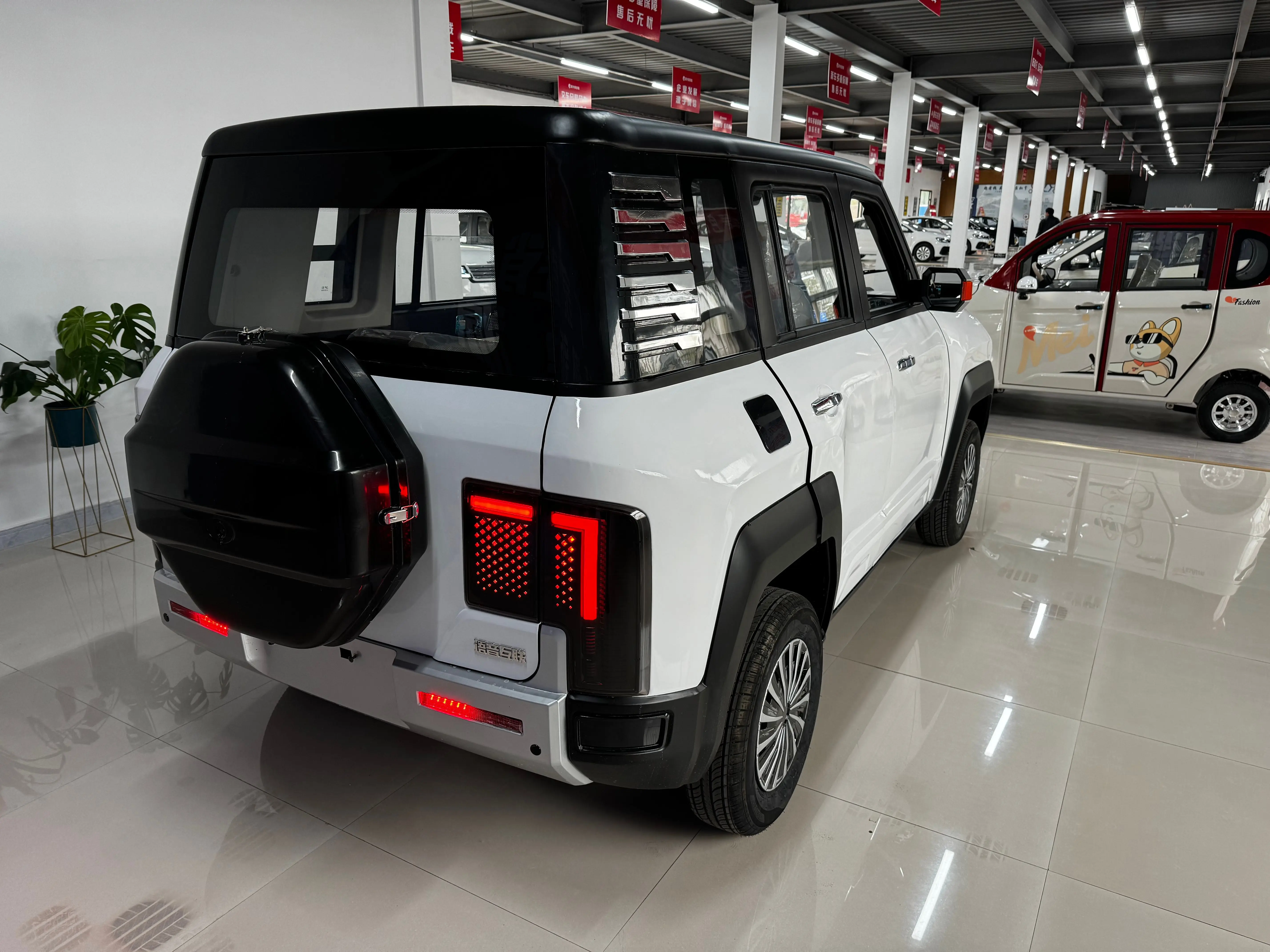 Mini Electric New Energy Vehicle Car