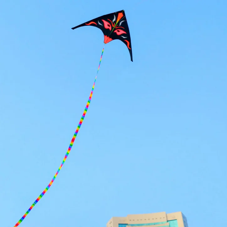 New Design Single Line Control Power Colored Kites Delta Kite  For Kids With Cheap Price