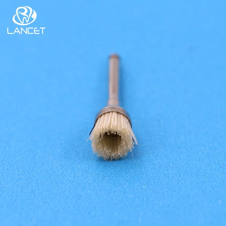 2021 Dental Polishing Brush bristle Polishing brushes  for sale