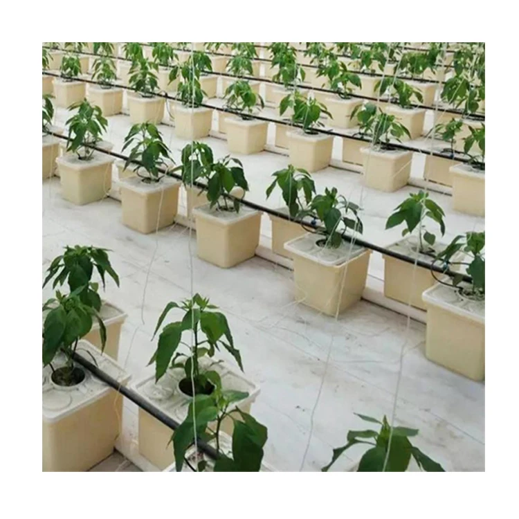 hydroponic pots dutch bucket hydroponic system for the planting of tomato cucumber potato etc