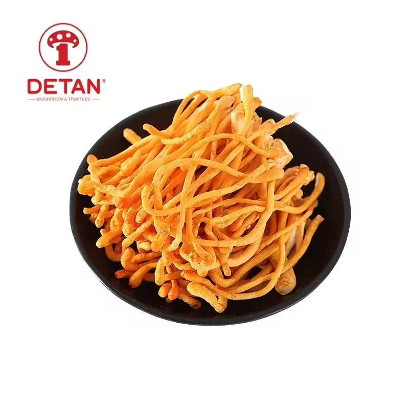 Nutrient-rich Sold all year round fresh organic Cordyceps Flowers And Dried Cordyceps