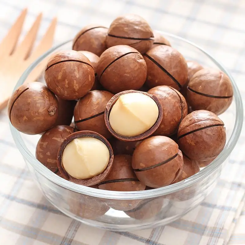 China New Crop Original Flavor  vietnam raw macadamia nuts in shell