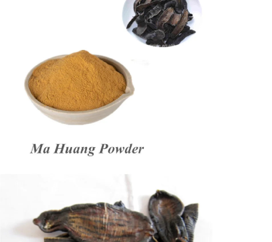 Traditional Chinese Medicine Herb100% Dried Bloodsucker Dry Leech /Ma Huang Powder