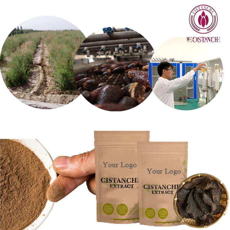 Wholesale Cistanche Tubulosa Extract Powder 65% Glycoside 20% Echinacoside For Kidney Supplements