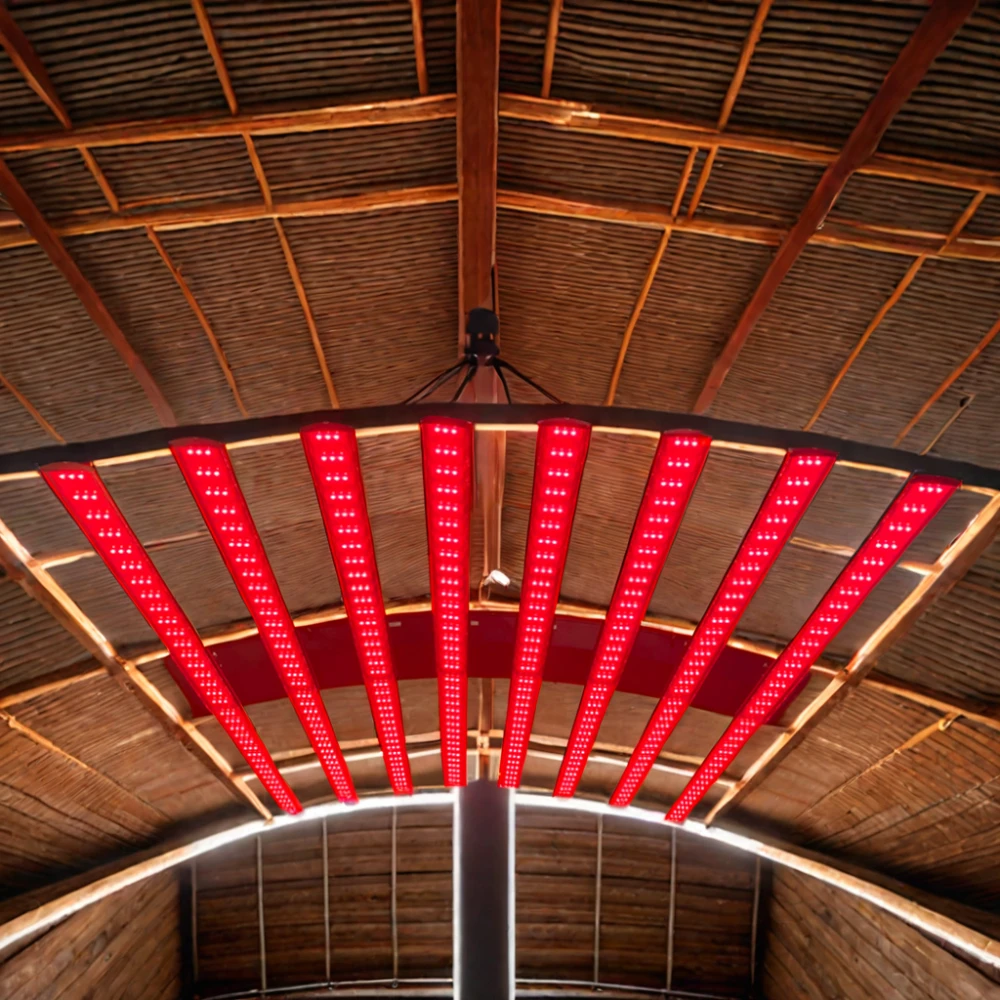 Classic Horse Stall Red Light Therapy Solarium for Large Animals Pet-friendly Equine Solarium