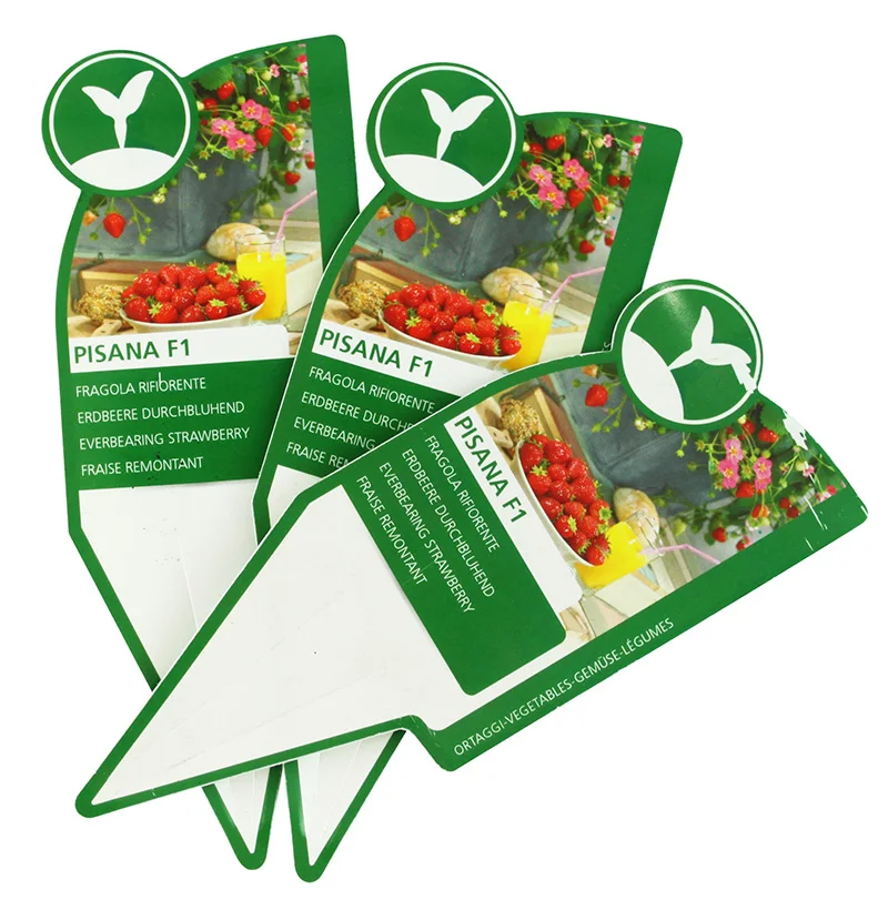 Waterproof Plastic Custom Printed CUOR DI BUE ALBENGA Chili cayenne pepper vegetable Labels for Nursery Wholesale