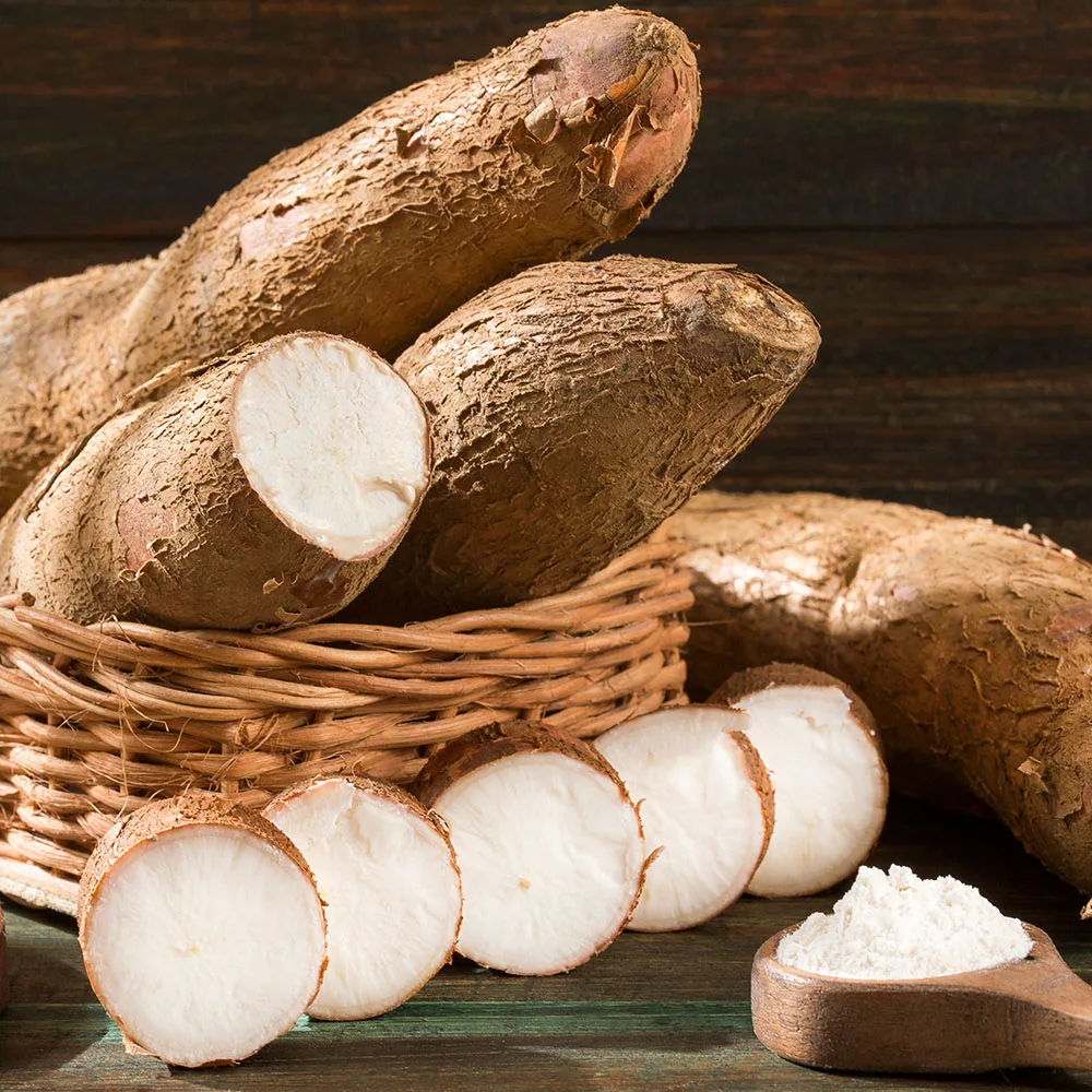 cassava chip for Ready to ship and Fast logistic service/ Starch material and others/International qualify cassava chips