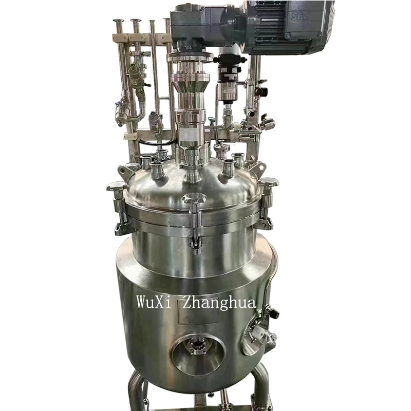 Hot Sale High Standard Pharmaceutical Chemical Industry Quartz Reactor WIth Agitated