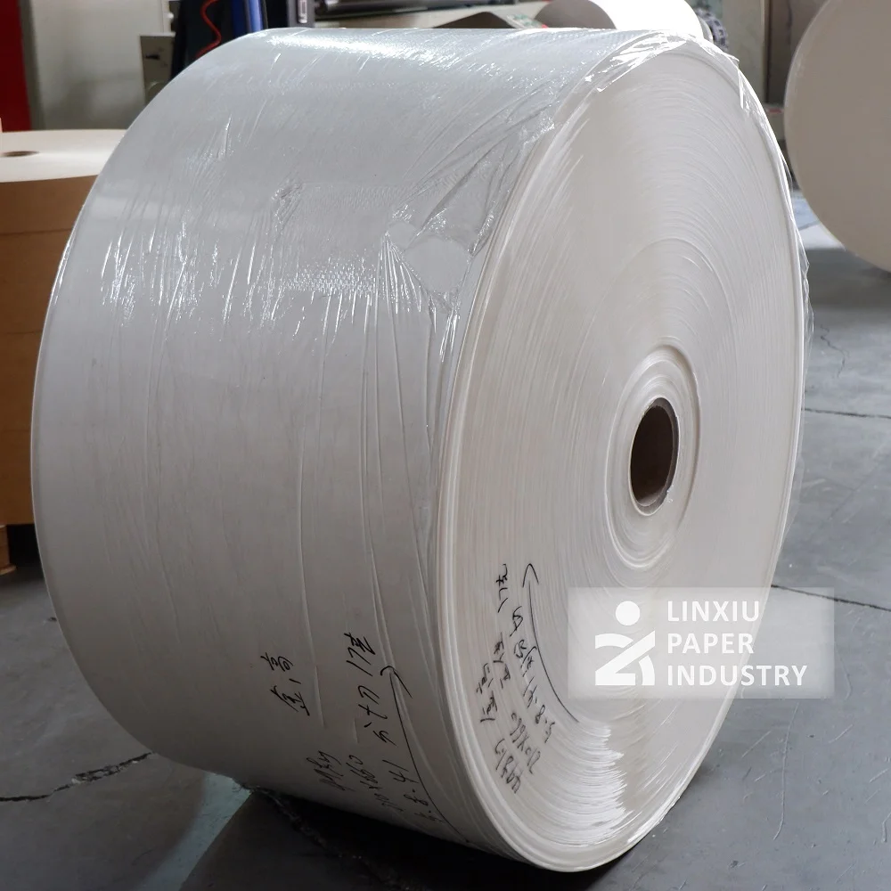 Economical 210 gsm PE coated paper roll for making sturdy paper cups, popcorn buckets, and food containers, great value