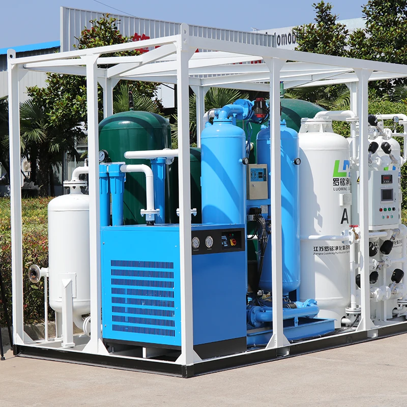 Portable Nitrogen Gas Generator Small Popular Plant N2 Equipment with PLC 1-Year Warranty New Condition