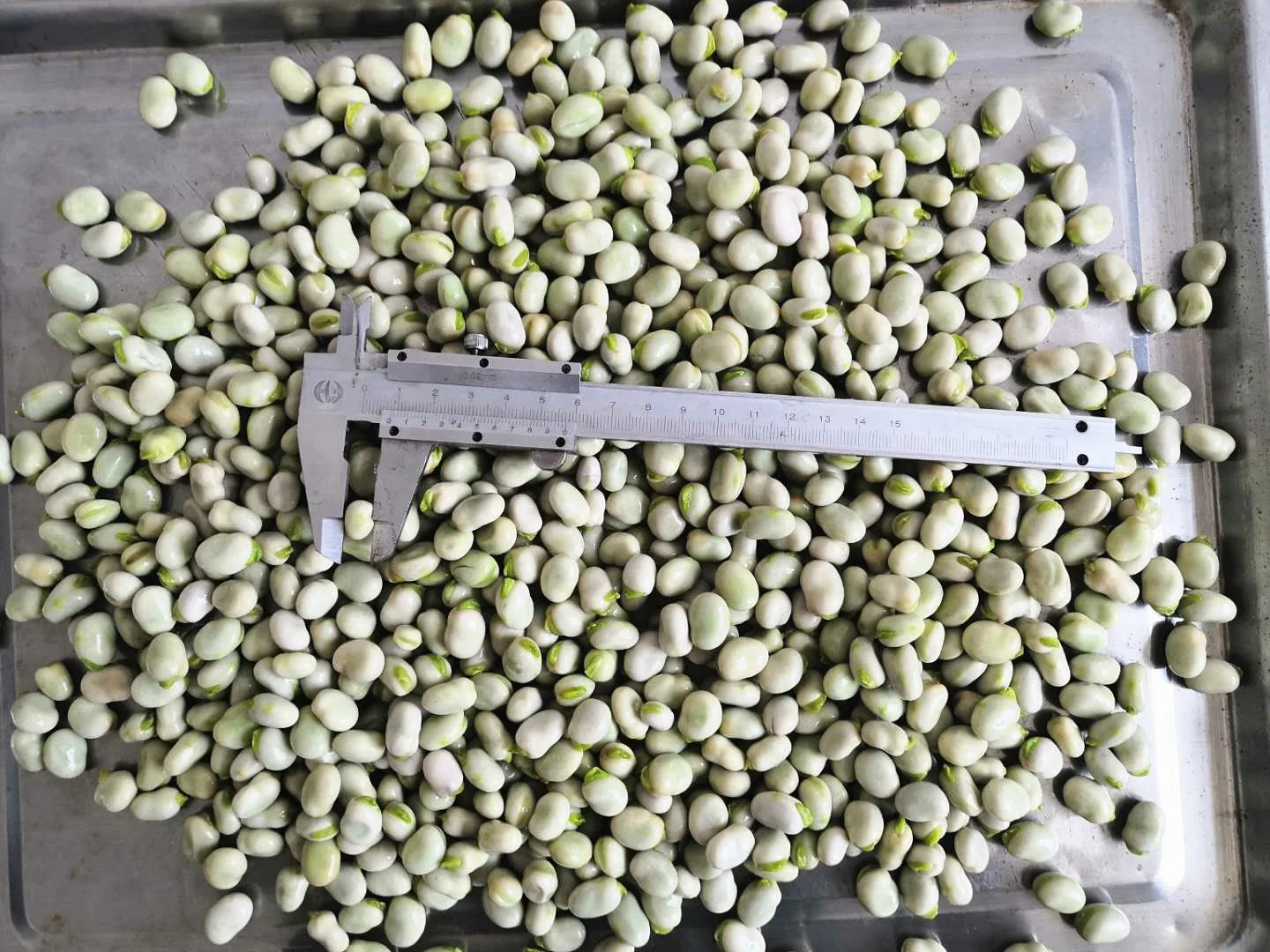 Sinocharm Frozen vegetable fresh and insect free  Certified China frozen broad bean