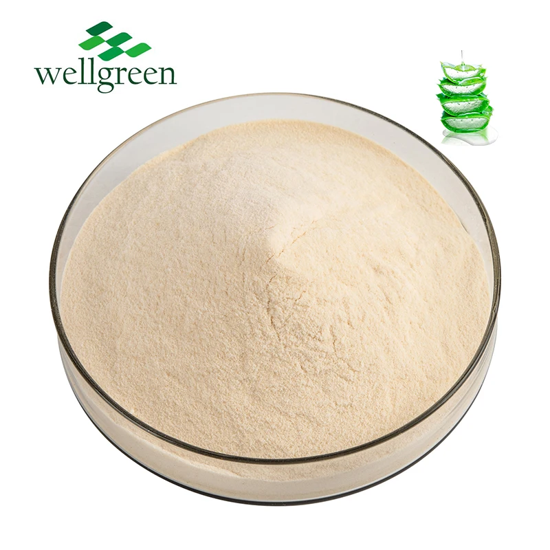 Organic Freezed Dried Aloe Vera Gel Extract Powder Aloe Vera Extract Powder