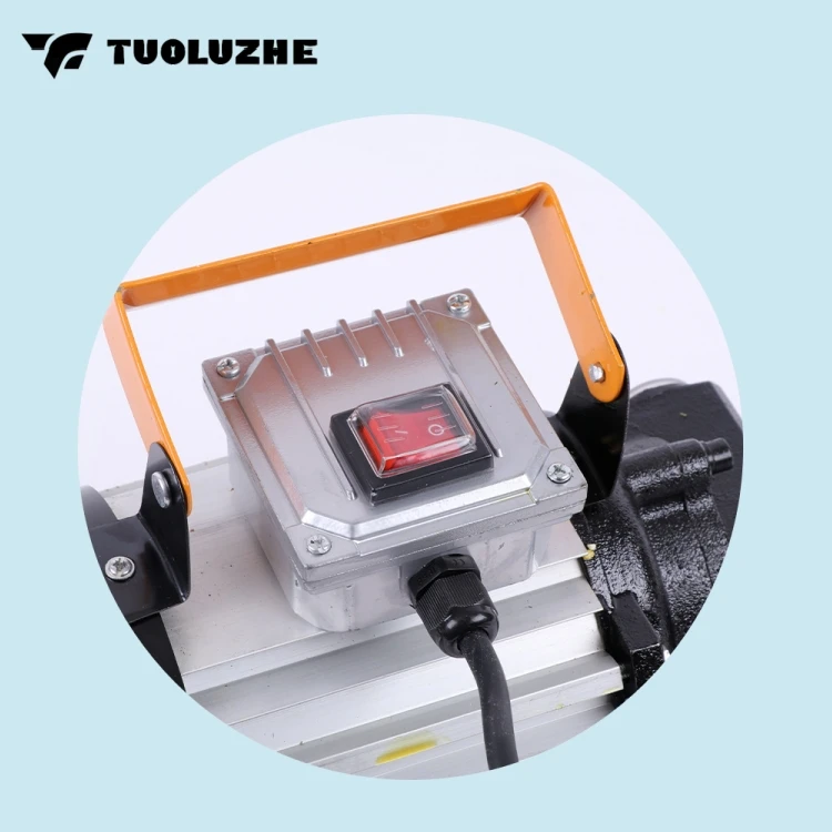 220V-750W Мощный электрический насос для заправки дизельного масла в сборе