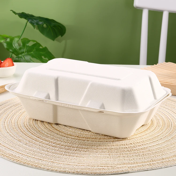 Wholesale Safety Custom Ecopack Box Disposable Biodegradable Paper Pulp Packaging Food Lunch Box with Lid
