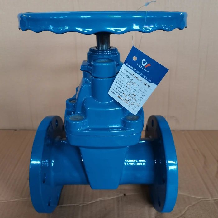 2024 Factory price WESDOM flanged gate valve PN16 Class150 ductile iron flexible wedge gate valve