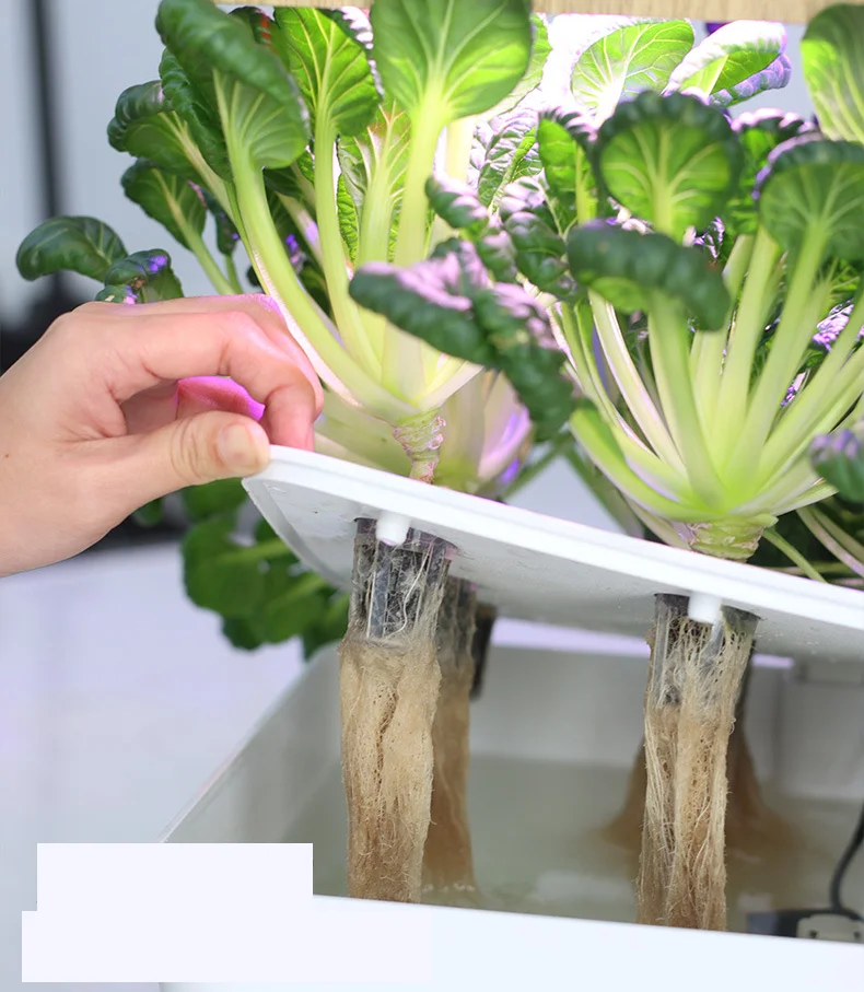 Hot Sale Growth Sponges Hydroponic Growing Germination Kits Plants Seedling Starter Grow Sponges